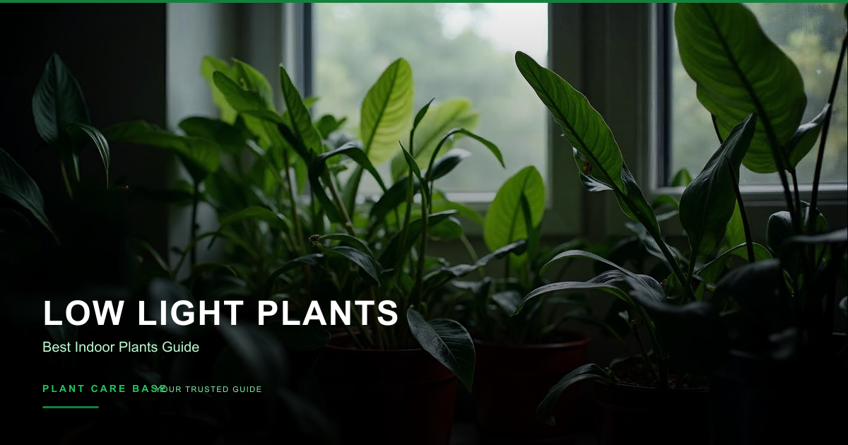 Several thriving houseplants including a pothos, snake plant, and ZZ plant grouped together in a dimly lit room corner